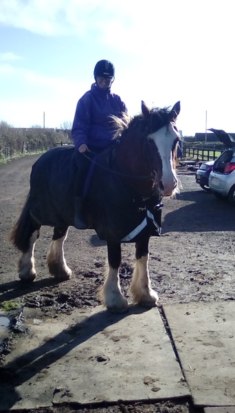 Driving to see and ride my horse