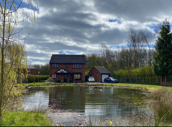 NOT what I expected to wake up to this morning...