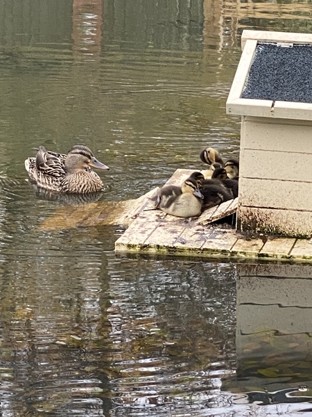 NOT what I expected to wake up to this morning...