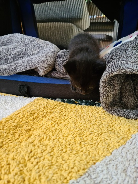 So I found something in my shed this morning...