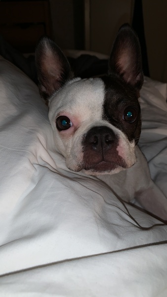 May I shamelessly post a photo of my gorgeous girl?