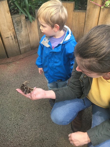 Frugal friends follow each other frugally through Hallowe'en, COVID all welcome