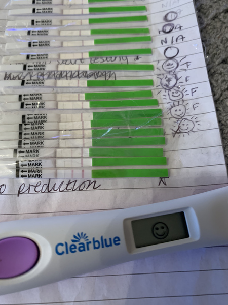 OPK progression
