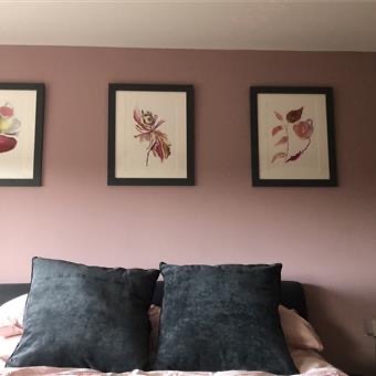 Now that grey has had its day are we all into Sulking Room Pink and