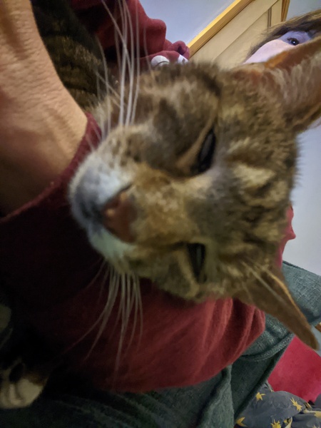 Come and tell me your dull and unexciting news 6: Calmly through the day