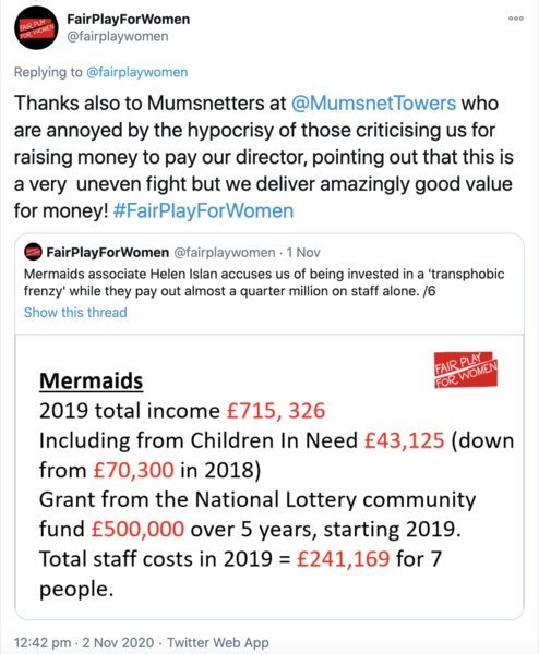 Mermaid's associate intersectional cis feminist She/Her