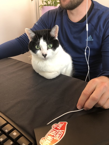 Come and tell me your dull and unexciting news 6: Calmly through the day