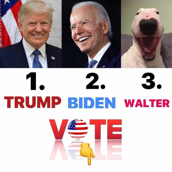 Election Part 2 (Trump thread #108)