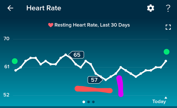 Tracking your cycle and possible BFP using RHR - part 4