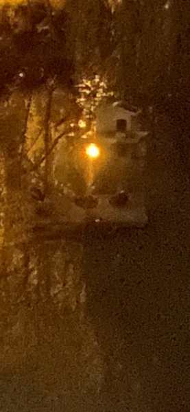 NOT what I expected to wake up to this morning...