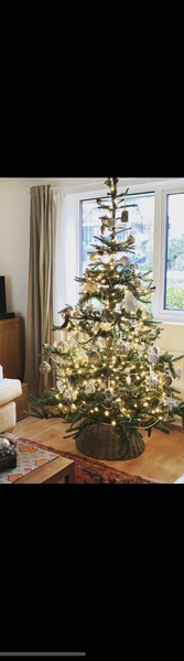Get your trees out!!!!!