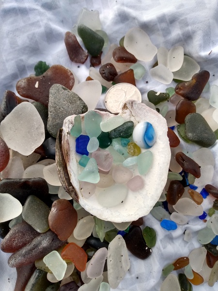 What's the oddest thing you have found while beachcombing?