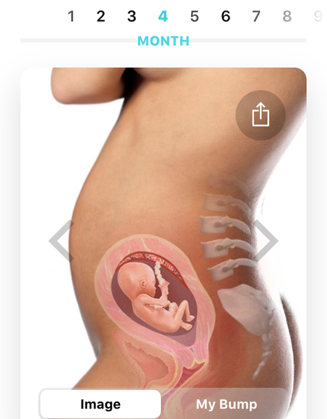 Pregnant After MMC - Thread 4