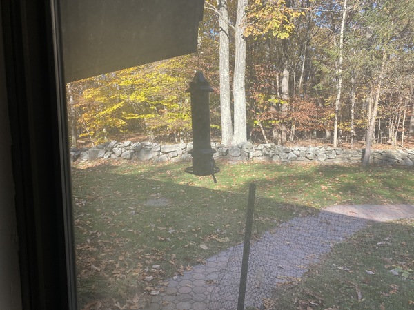 Come and tell me your dull and unexciting news 6: Calmly through the day