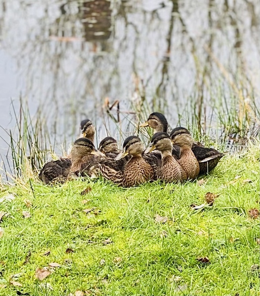 NOT what I expected to wake up to this morning...