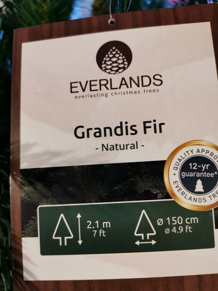 Should I buy a Balsam Hill tree?