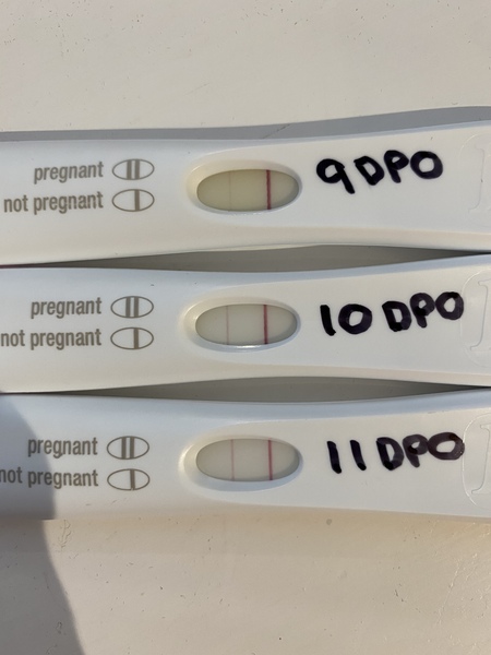 Anyone just had their BFP?