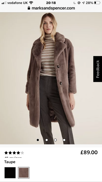 Am I mad to buy on of these coats?!