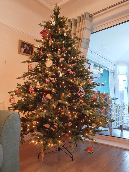 Get your trees out!!!!!
