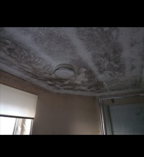 Private rent Help!