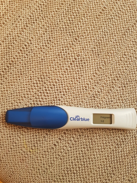 Sperm Meets Egg Plan