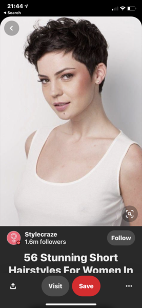 Hair dilemma - Hairdressers advice needed