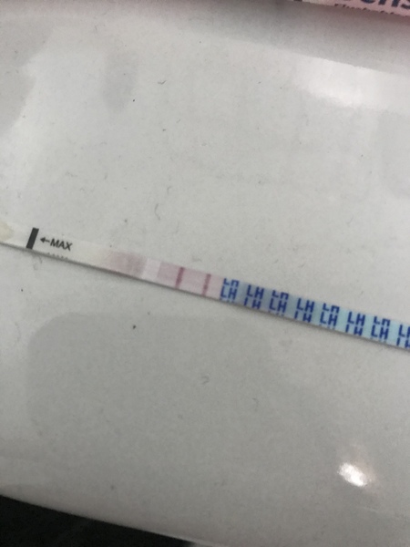 Sperm Meets Egg Plan