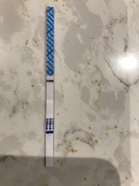 Negative test 6dpo