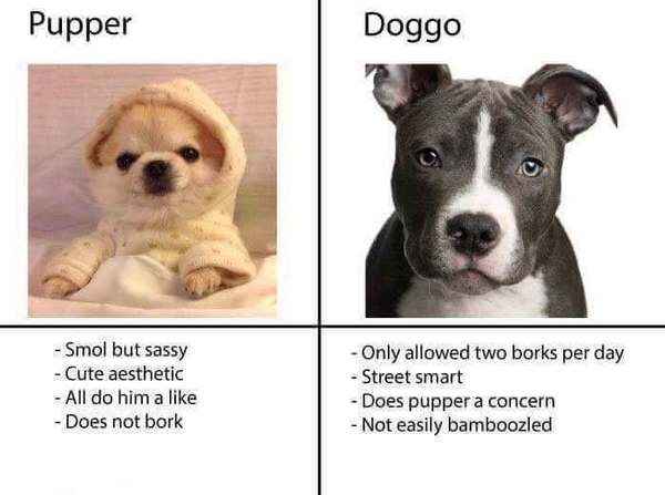 Just realised bork is not spelled bork
