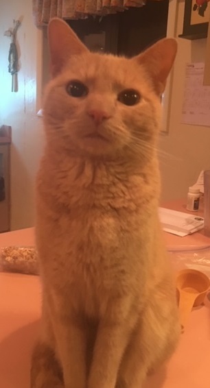 Come and tell me your dull and unexciting news 6: Calmly through the day