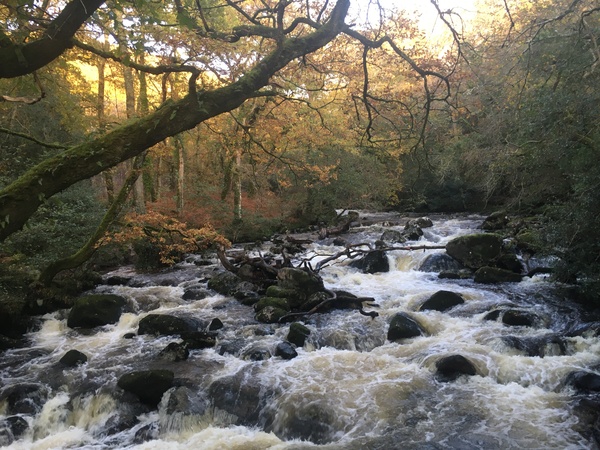 Any Witches Here? Part 12.