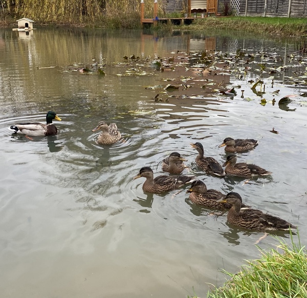 NOT what I expected to wake up to this morning...