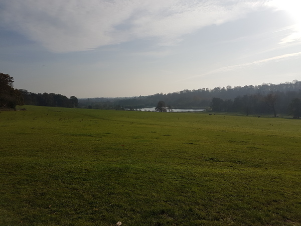 Autumn walks in Hertfordshire