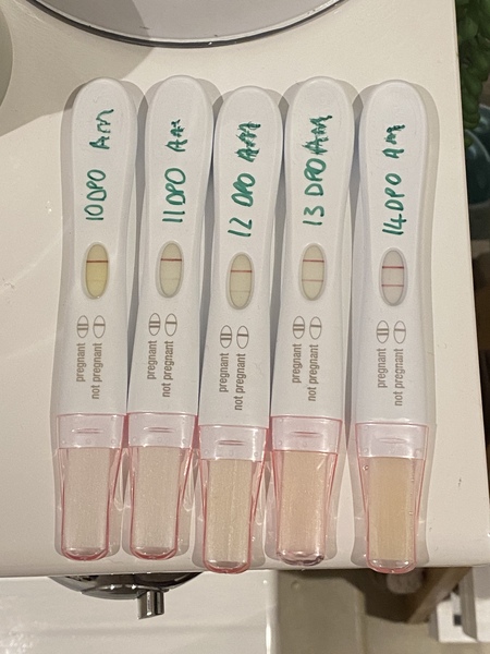Anyone just had their BFP?