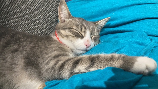 Come and tell me your dull and unexciting news 6: Calmly through the day