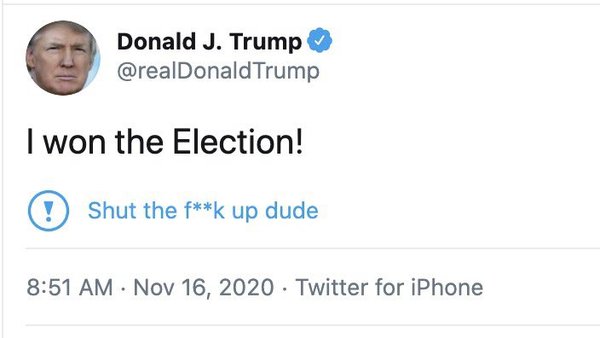 Donald has barricaded himself in the WH and we have Georgia on our minds. (Trump thread #113)