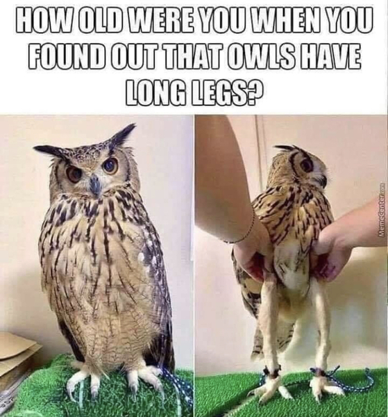 Well I never knew that