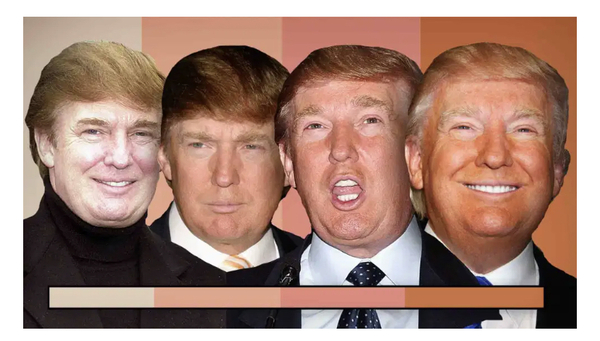 🍊 50 Shades of Donald 🍊