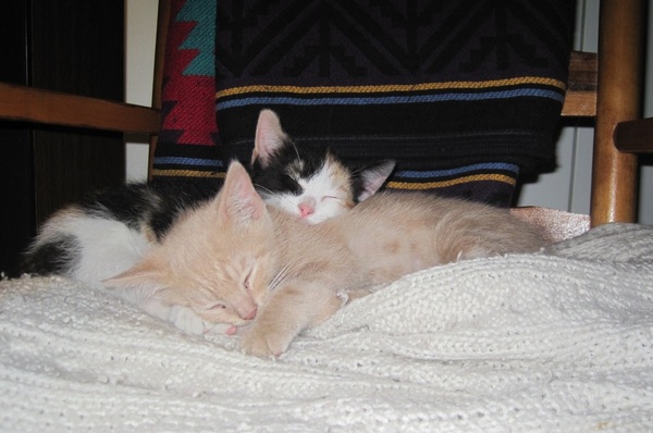 Come and tell me your dull and unexciting news 6: Calmly through the day