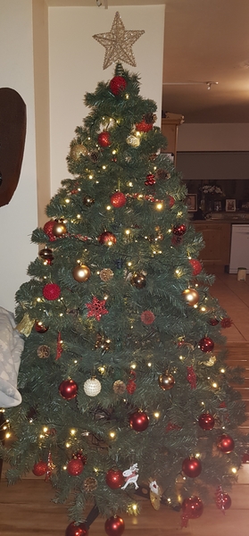 Get your trees out!!!!!