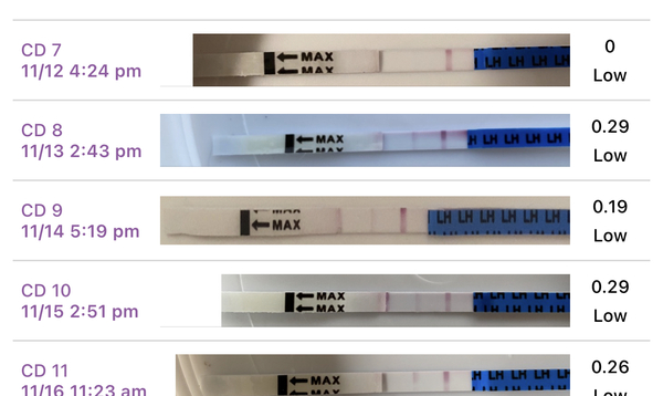 TTC cycle 1 (just come off pill) for #1