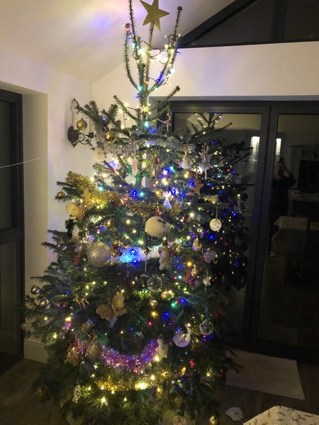 Get your trees out!!!!!