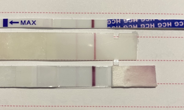 TTC after a chemical pregnancy / early miscarriage