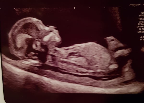 June 2021 part 3!