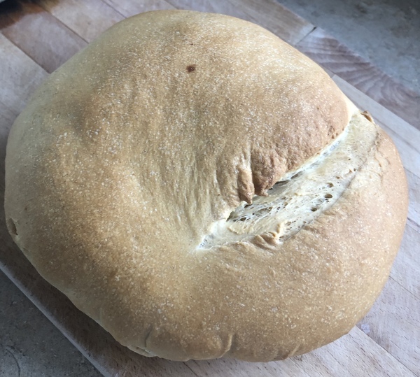 Why is my bread so shite?