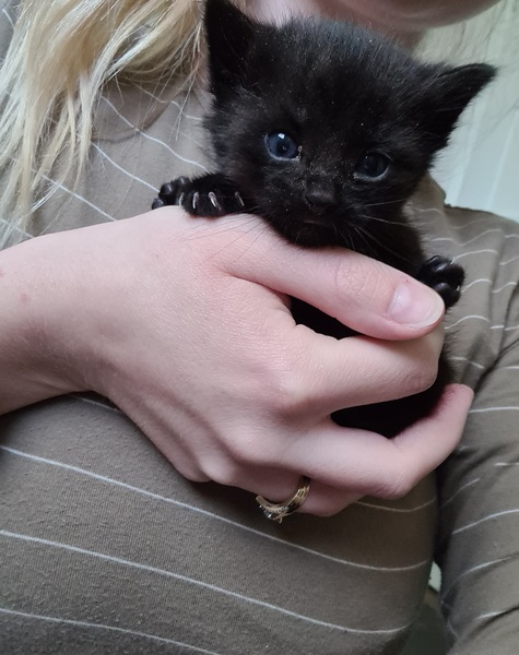 So I found something in my shed this morning...