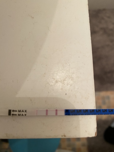 Positive OPK?
