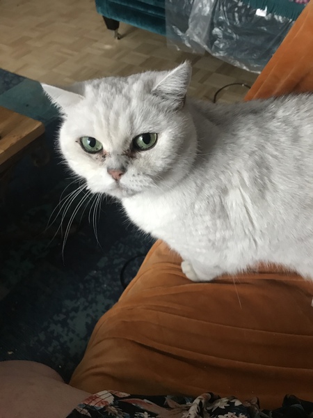 Help - not sure whether to be worried