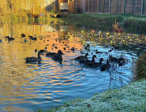 NOT what I expected to wake up to this morning...