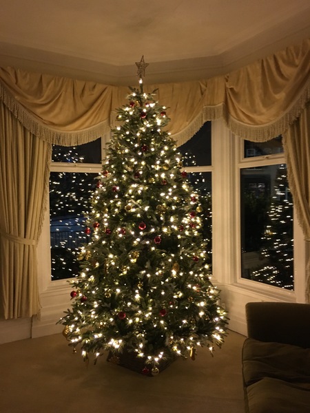 Should I buy a Balsam Hill tree?